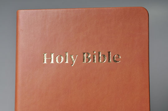 English Large Print Flexcover Bible
