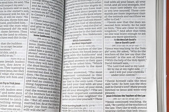 English Large Print Flexcover Bible, detail